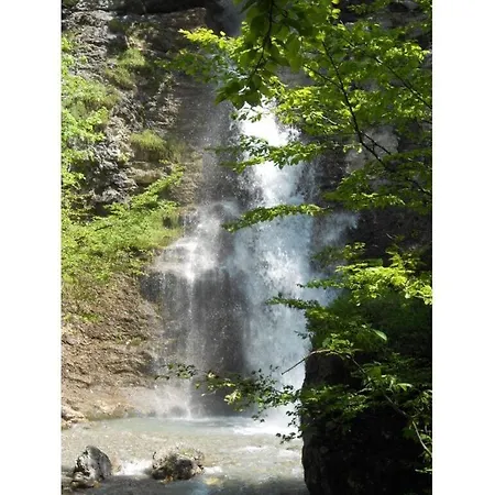 Apartman Martin 2 Alpenrose