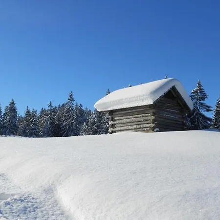 Martin 2 Alpenrose Apartman